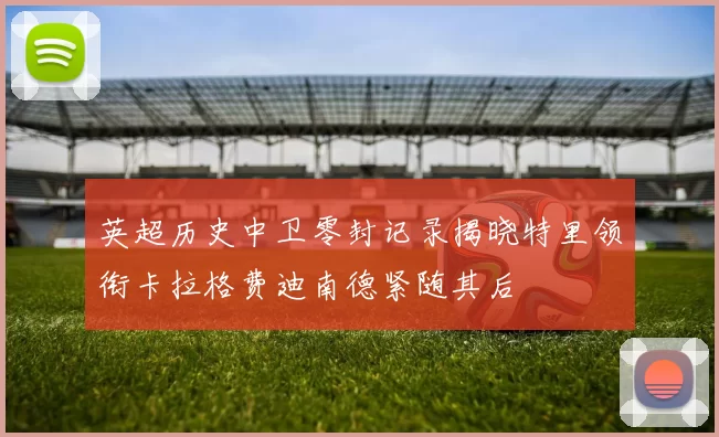 英超历史中卫零封记录揭晓特里领衔卡拉格费迪南德紧随其后