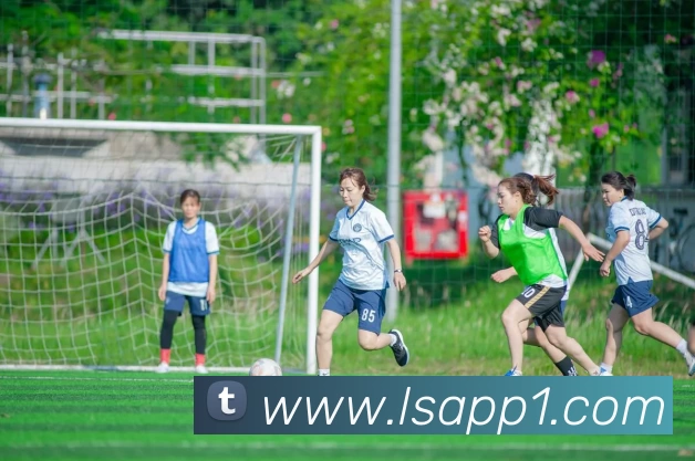 App Interface Preview